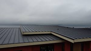 Best Solar Panel Roofing Installation  in Kennesaw, GA